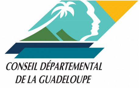 Coupe du conseil départemental jeune